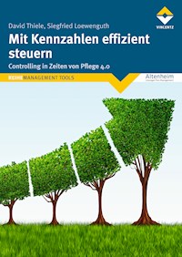 Mit Kennzahlen effizient steuern - David Thiele - E-Book