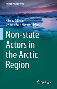 Non-state Actors in the Arctic Region -  - E-Book