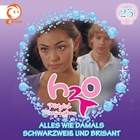 23: Alles wie damals / Schwarzweiß und brisant - Henning Stegelmann - Hörbuch