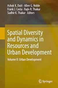 Spatial Diversity and Dynamics in Resources and Urban Development -  - E-Book