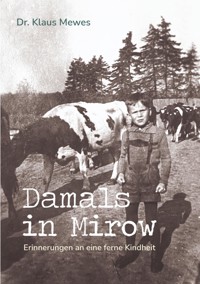 Damals in Mirow - Klaus Mewes - E-Book