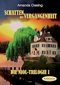Schatten der Vergangenheit - Amanda Ciesing - E-Book