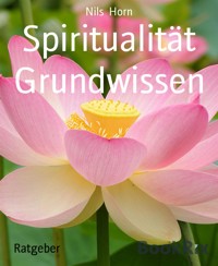 Spiritualität Grundwissen - Nils Horn - kostenlos E-Book