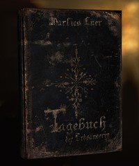 Tagebuch der Erdsängerin - Marlies Lüer - E-Book