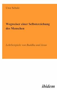 Wegweiser einer Selbsterziehung des Menschen - Uwe Schulz - E-Book