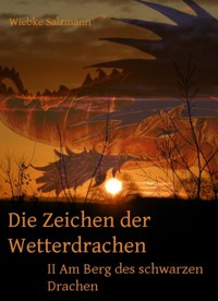 Die Zeichen der Wetterdrachen - Wiebke Salzmann - E-Book