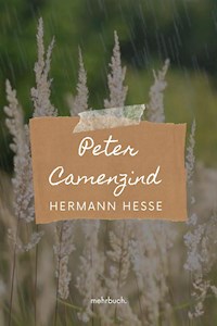 Peter Camenzind - Hermann Hesse - E-Book + Hörbuch