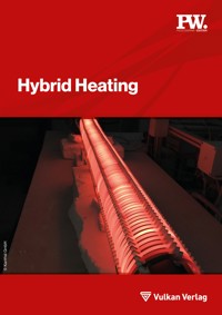 Hybrid Heating - Christian Schwotzer - E-Book