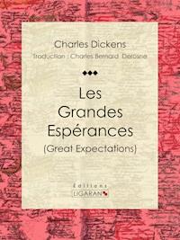 Les Grandes Espérances - Ligaran - E-Book