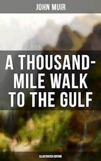 A THOUSAND-MILE WALK TO THE GULF (Illustrated Edition) - John Muir - E-Book