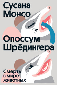 Опоссум Шредингера - Сусана Монсо - E-Book