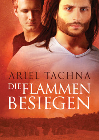 Die Flammen besiegen - Ariel Tachna - E-Book