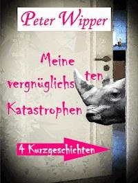 Meine vergnüglichsten Katastrophen - Peter Wipper - E-Book