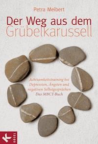 Der Weg aus dem Grübelkarussell - Petra Meibert - E-Book