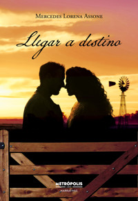 Llegar a destino - Mercedes Lorena Assone - E-Book