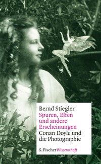 Spuren, Elfen und andere Erscheinungen - Bernd Stiegler - E-Book