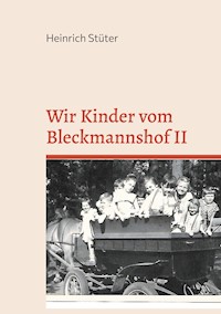 Wir Kinder vom Bleckmannshof II - Heinrich Stüter - E-Book