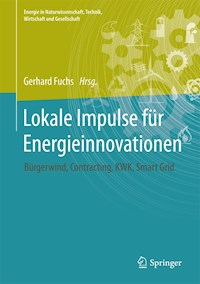 Lokale Impulse für Energieinnovationen -  - E-Book