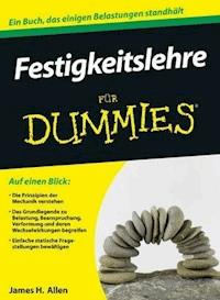 Festigkeitslehre für Dummies - James H. Allen - E-Book