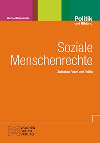 Soziale Menschenrechte - Michael Krennerich - E-Book