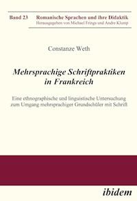 Mehrsprachige Schriftpraktiken in Frankreich - Constanze Weth - E-Book