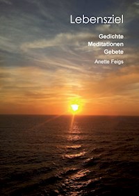 Lebensziel - Anette Feigs - E-Book
