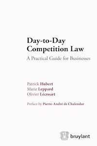 Day-to-Day Competition Law - Patrick Hubert - E-Book