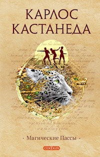 Магические пассы - Карлос Кастанеда - E-Book