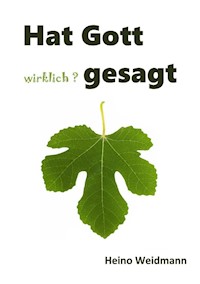 Hat Gott wirklich? gesagt - Heino Weidmann - E-Book