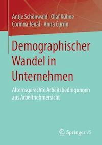 Demographischer Wandel in Unternehmen - Antje Schönwald - E-Book