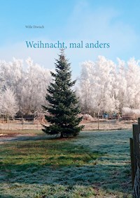 Weihnacht, mal anders - Wille Diwisch - E-Book