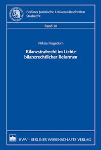 Bilanzstrafrecht im Lichte bilanzrechtlicher Reformen - Niklas Hagedorn - E-Book