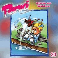 Panki 20 - Alarm am Waldsee - Doris Schreier - Hörbuch