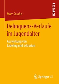 Delinquenz-Verläufe im Jugendalter - Marc Serafin - E-Book