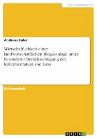 Wirtschaftlichkeit einer landwirtschaftlichen Biogasanlage unter besonderer Berücksichtigung der Kofermentation von Gras - Andreas Euler - E-Book