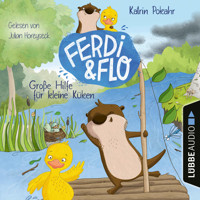 Große Hilfe für kleine Küken - Ferdi & Flo, Teil 2 (Ungekürzt) - Katrin Pokahr - Hörbuch