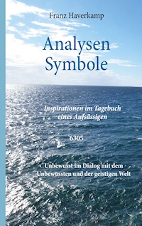 Analysen - Symbole 6305 - Franz Haverkamp - E-Book