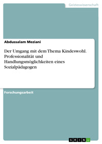 Der Umgang mit dem Thema Kindeswohl. Professionalität und Handlungsmöglichkeiten eines Sozialpädagogen - Abdussalam Meziani - E-Book