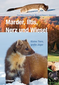 Marder, Iltis, Nerz und Wiesel - Paul Marchesi - E-Book
