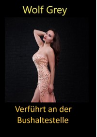 Verführt an der Bushaltestelle - Wolf Grey - E-Book