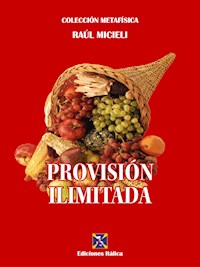 Provisión Ilimitada - Raúl Micieli - E-Book