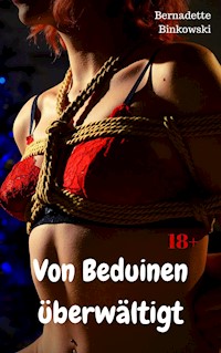Von Beduinen überwältigt - Bernadette Binkowski - E-Book