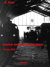 Mörder kennen kein Erbarmen - K. Ronay - E-Book