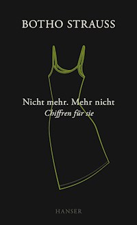 Nicht mehr. Mehr nicht - Botho Strauß - E-Book