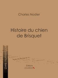Histoire du chien de Brisquet - Charles Nodier - E-Book