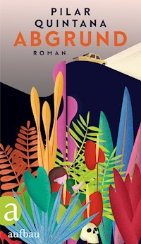 Abgrund - Pilar Quintana - E-Book
