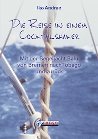Die Reise in einem Cocktailshaker - Iko Andrae - E-Book