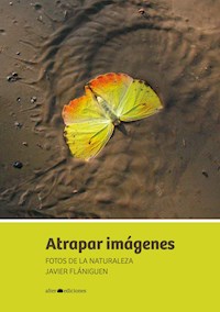 Atrapar imágenes - Javier Flániguen - E-Book