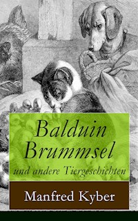 Balduin Brummsel und andere Tiergeschichten - Manfred Kyber - E-Book