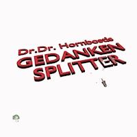 Gedankensplitter - Dr. Dr. Hornbostl - E-Book